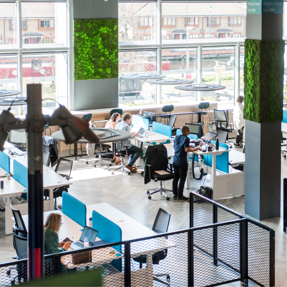 Plexal workspace