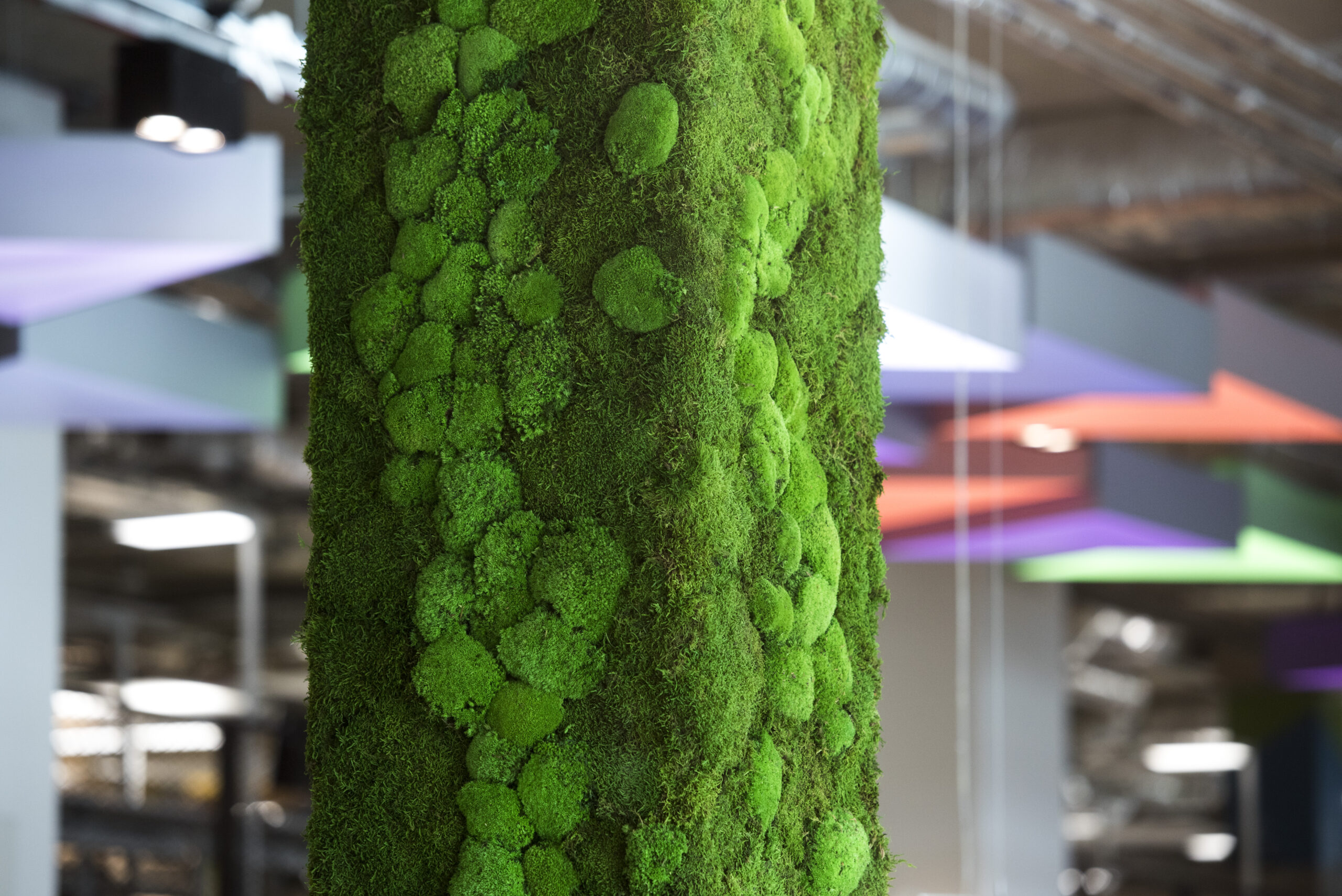 living moss at Plexal